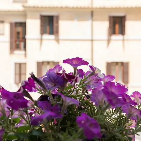 Buongiorno Colosseo Rome Exterior photo